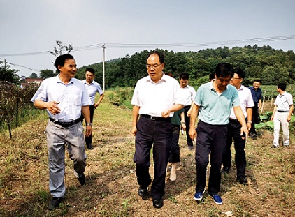 趙振華實地調(diào)研六國扶貧項目時要求    努力做強做優(yōu)集體產(chǎn)業(yè)   帶動更多群眾脫貧致富